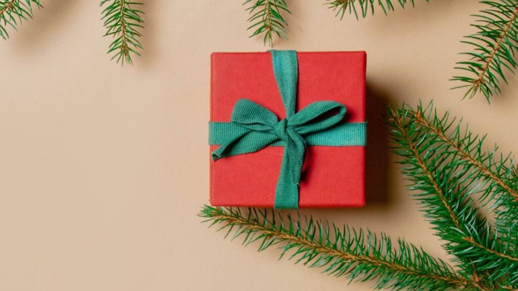 Bonus Natale 2025 da 480 euro: guida completa tra realtà, requisiti e truffe online